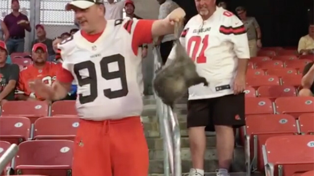 Internet Speculates That Rallypossum Was The Key To The Browns First Win Since 2016