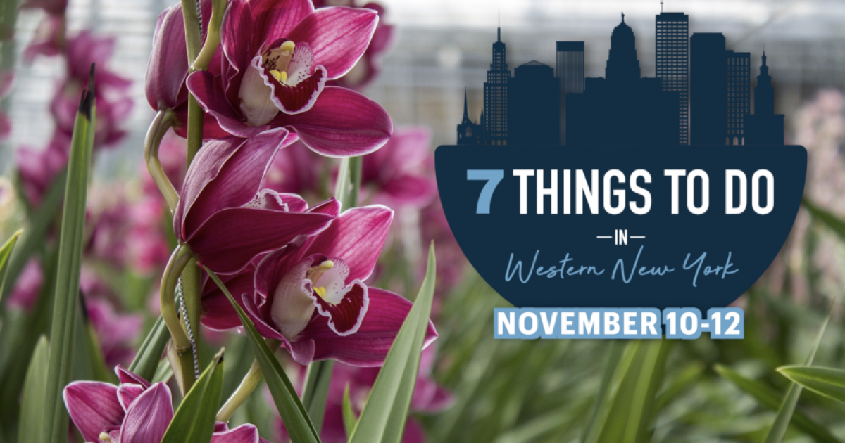 7 things to do in Western New York this weekend: November 10 - Vimarsana News