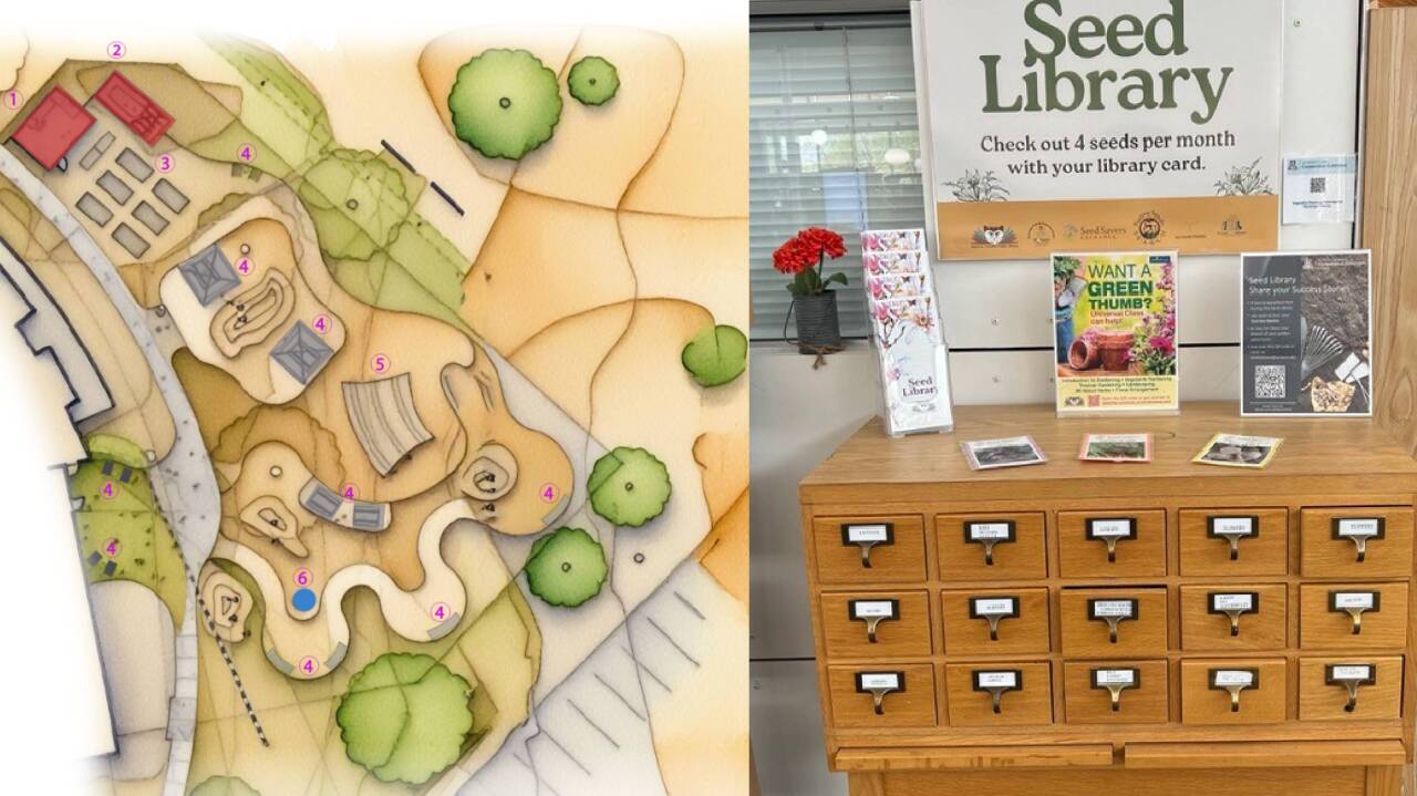 How a 'seed library' will expand its educational mission into a new community garden at the Apache Junction Public Library. 