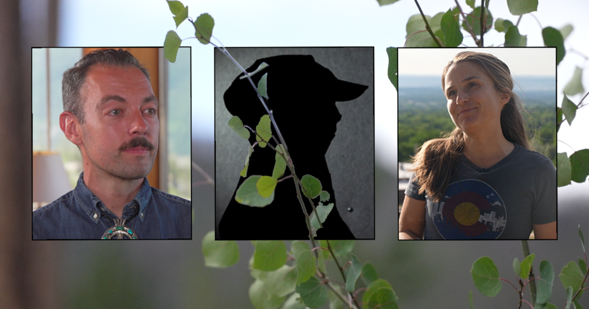 2025 Public Lands Layoffs Impact Exposed by Park Ranger 2025 Public Lands Layoffs Impact Exposed by Park Ranger