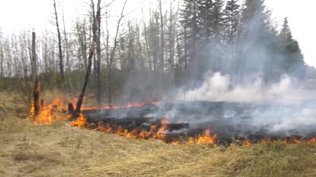 Canadian Fires