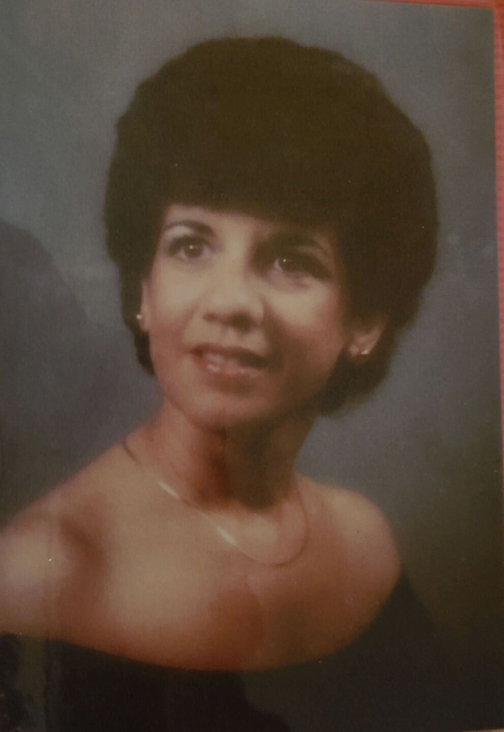 Josie DiStefano Palomino