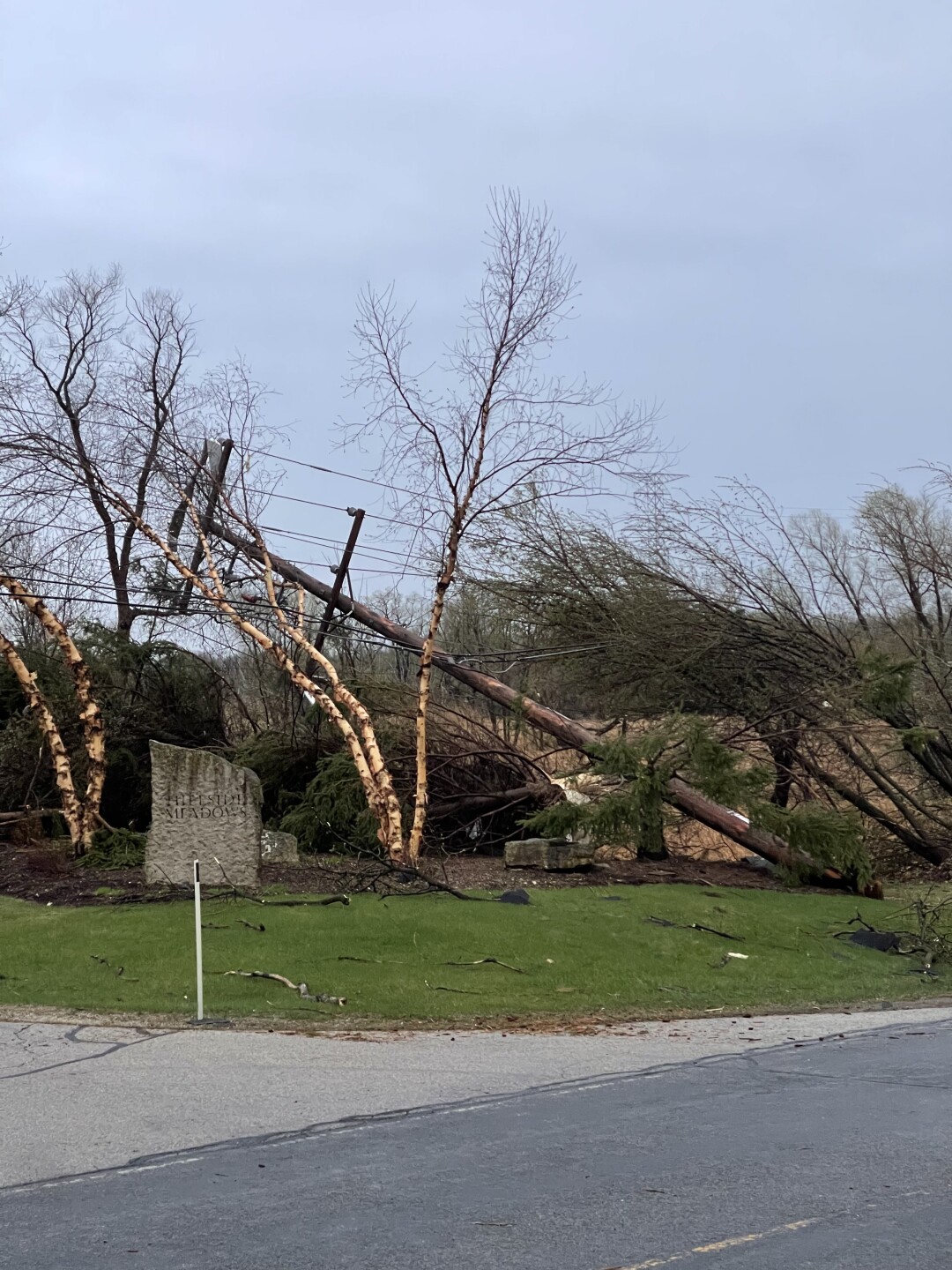 sussex claenup 2.jpeg