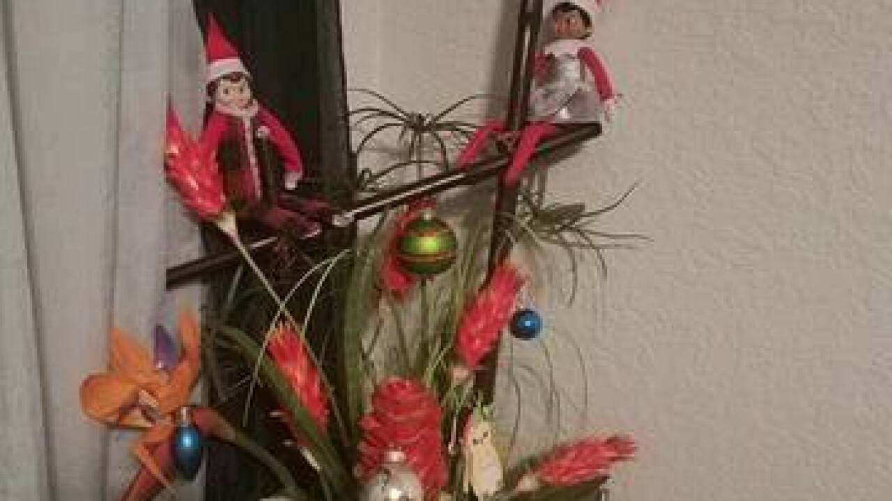 2016 Elf on the Shelf Photos & Ideas