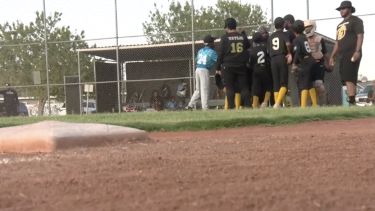 Dark Knights youth baseball team