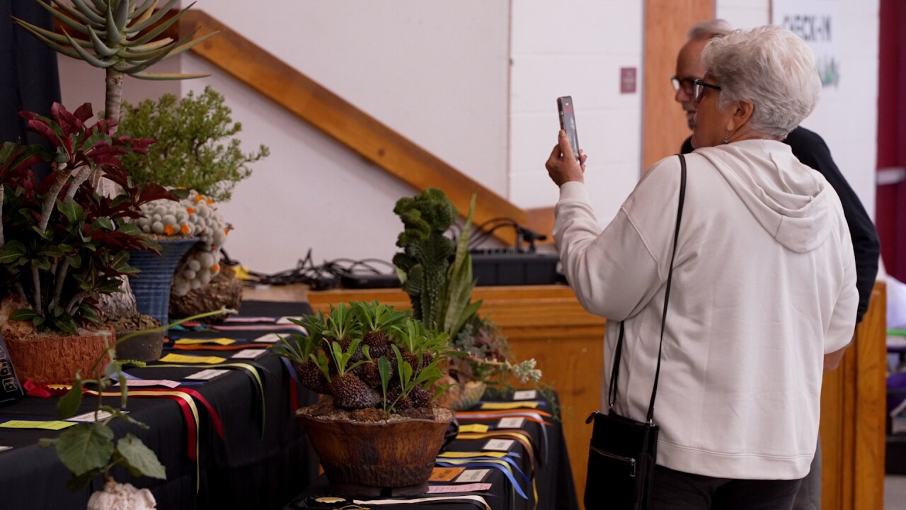 cactus show.jpg