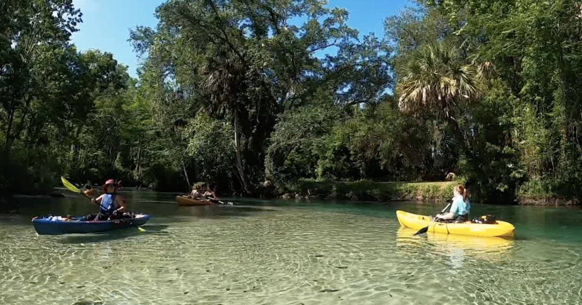 Hernando Co. leader questions enforcement of new Weeki Wachee River protections - Vimarsana News