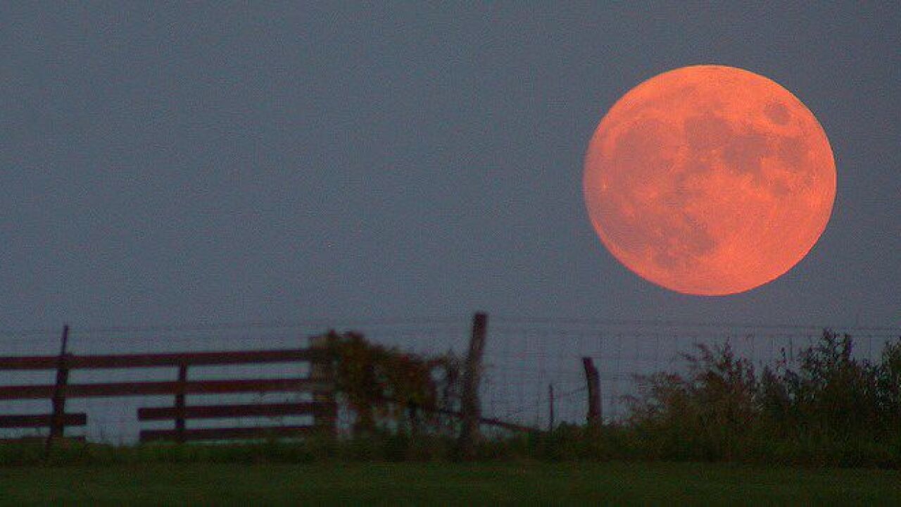 Tonight's harvest moon will be a sight to behold!