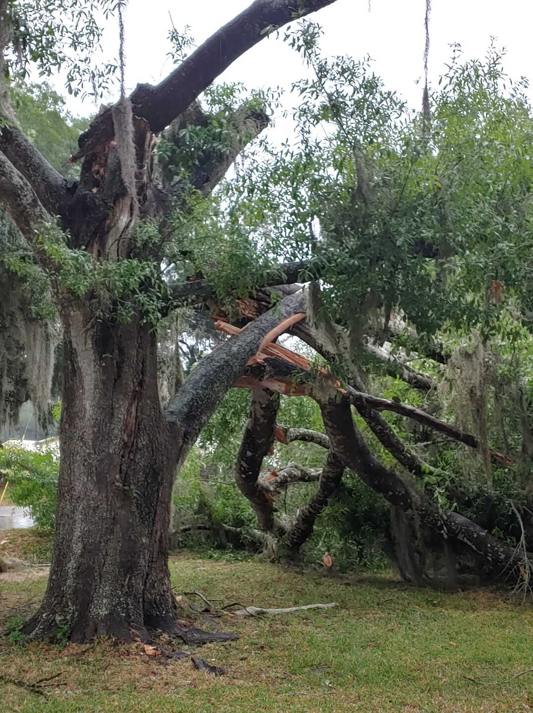 Jennifer McNeal Norris North Lakeland