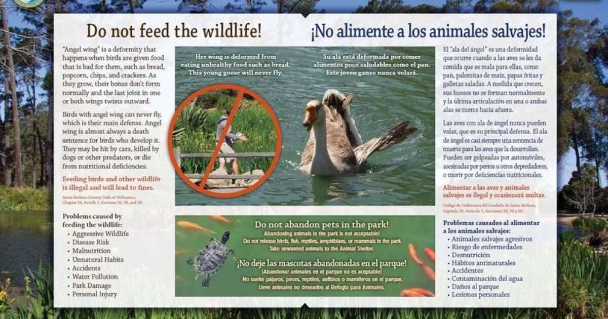 Bilingual Signs Urging Visitors Not To Feed Wildlife Coming