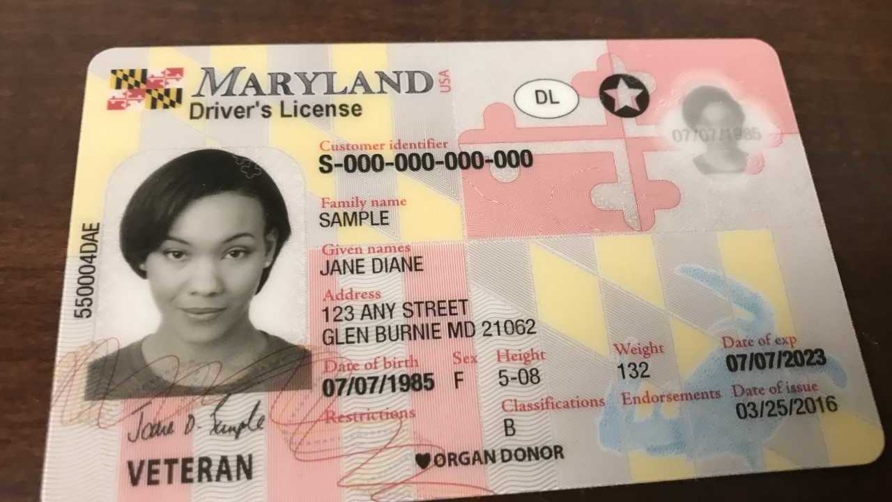 maryland real id sample