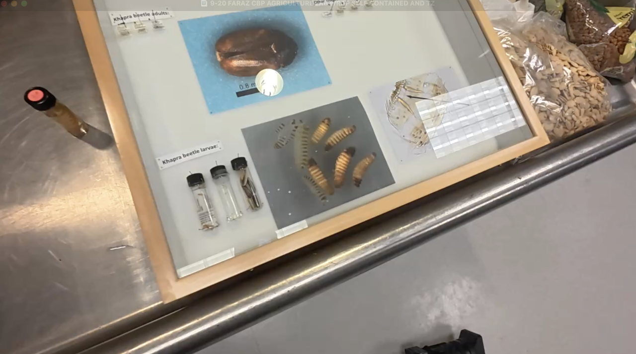 Screenshot 2025-09-21 at 3.57.34 PM.png