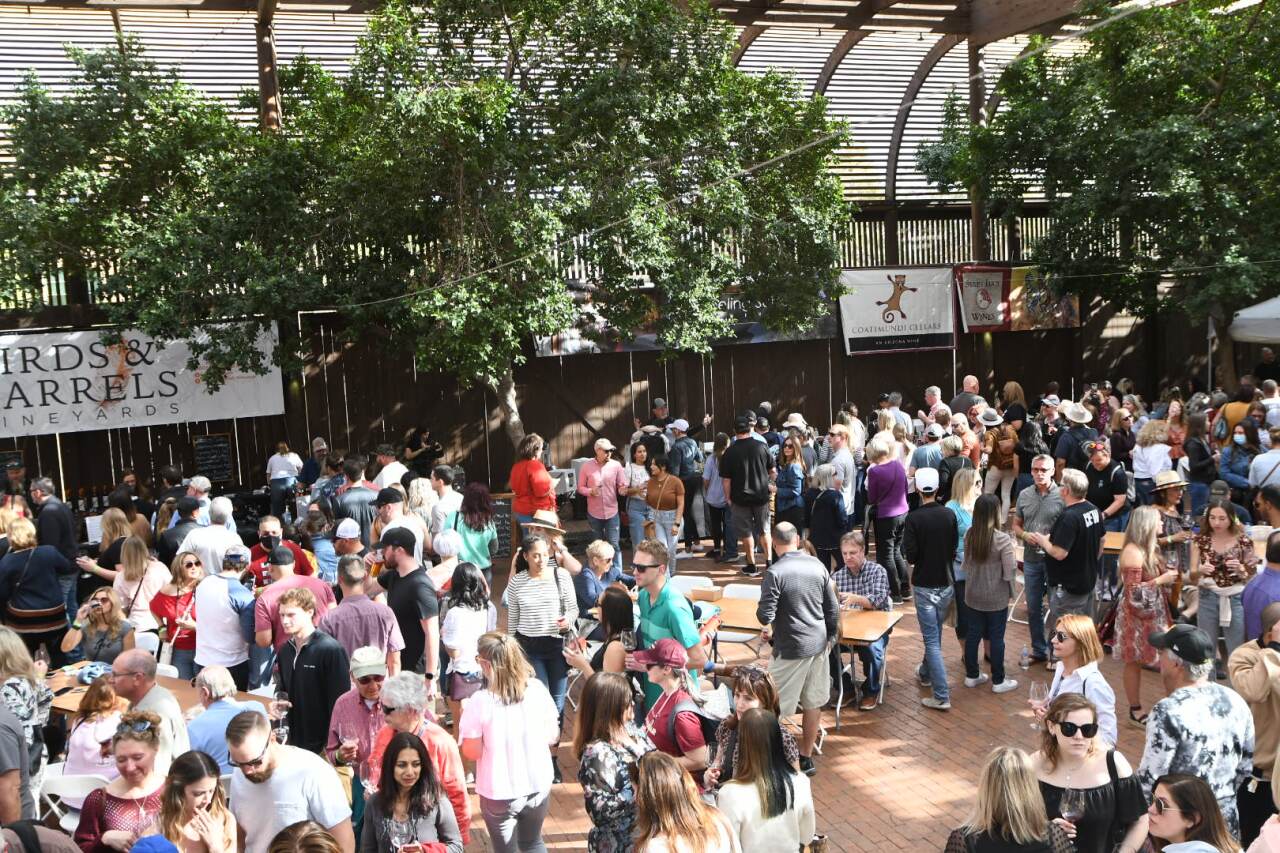 ARIZONA WINE FESTIVAL.jpg