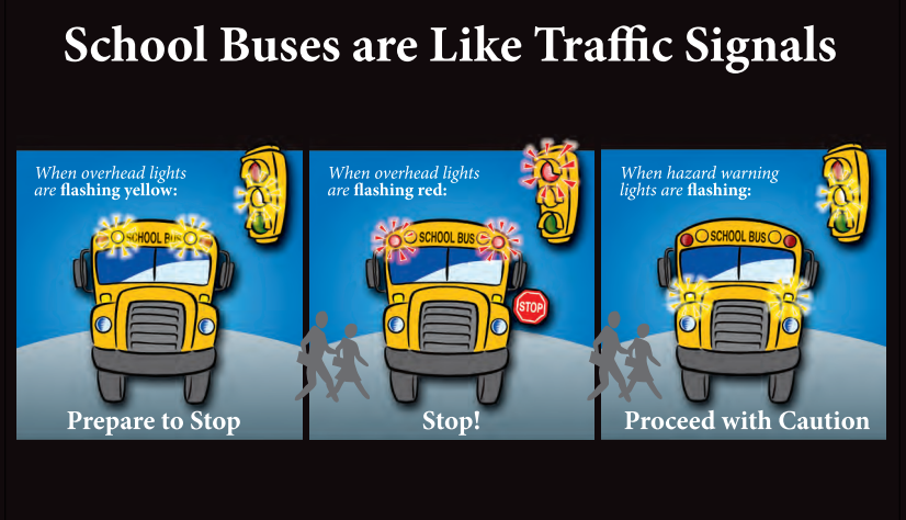 School buses are like traffic lights