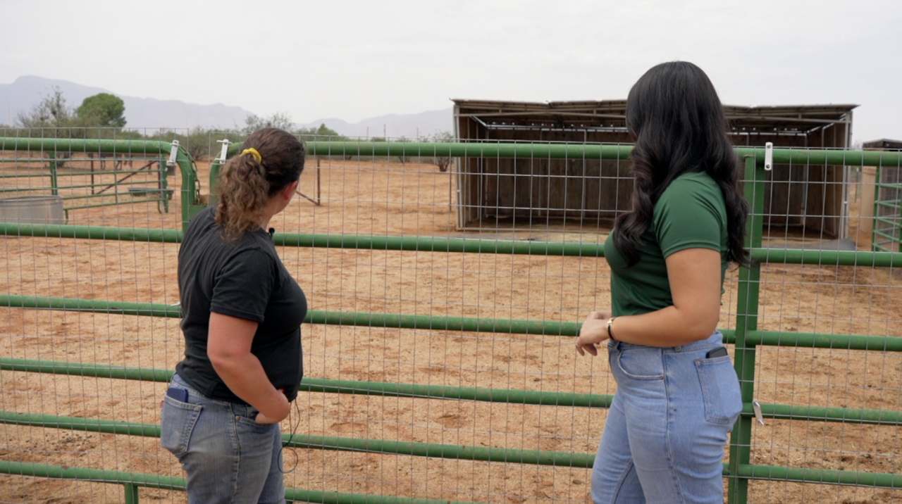 Stephanie Zech overlooking her stable