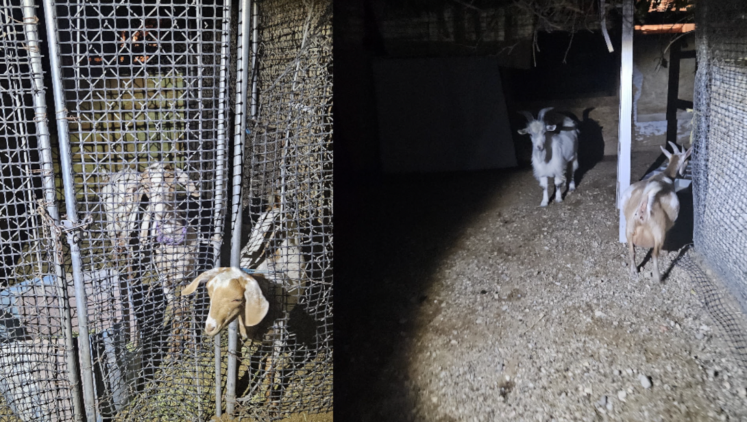 Screenshot 2024-07-02 at 5.22.47 PM.png