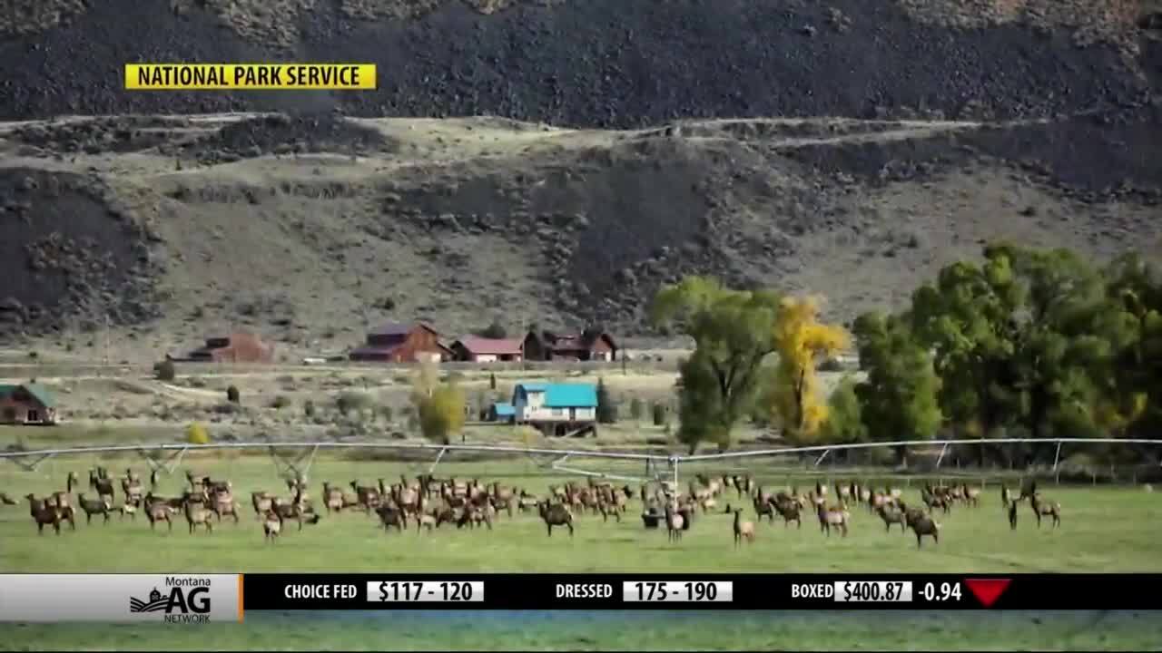 Montana Ag Network video (Friday, May 22)
