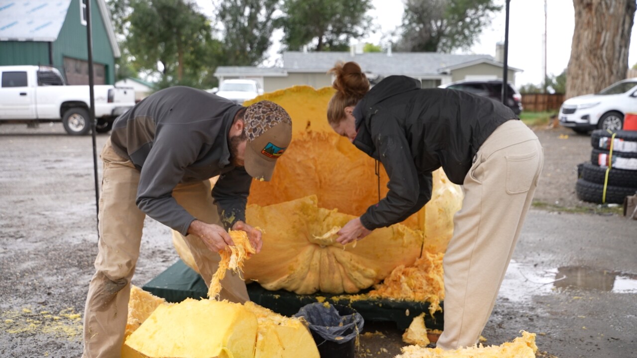 pumpkin2_2.5.1.jpg