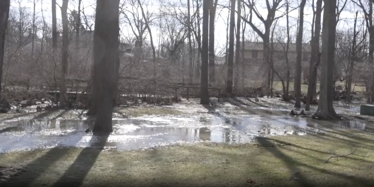 Screenshot 2026-03-08 at 3.34.55 PM.png