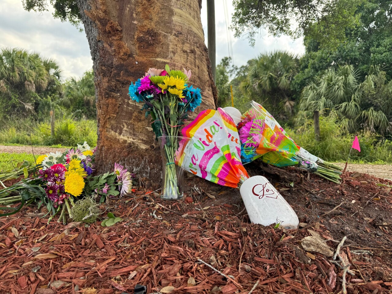 Memorial at site of crash site in Port St. Lucie. Mach 16, 2024.jpg