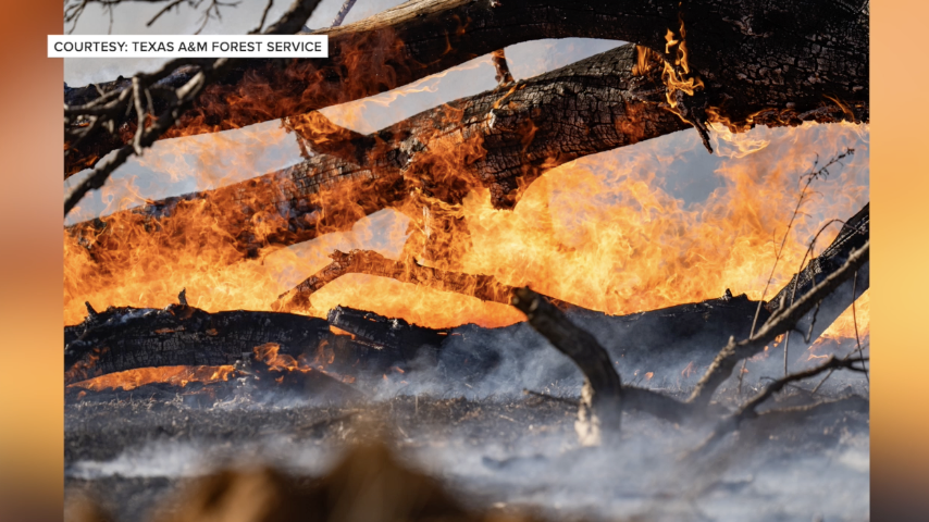 Texas A&M Forest Service warns of potential fireworks-related wildfires on July 4th weekend, prepares for summer wildfire season