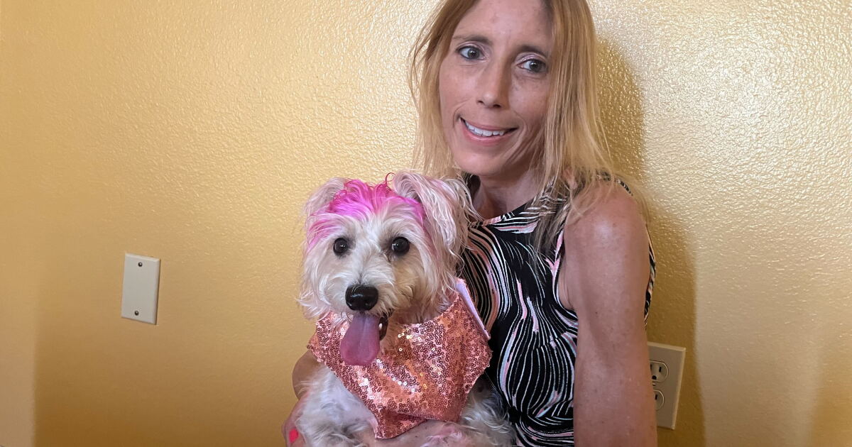 Largo rescue dog up for national award - Vimarsana News