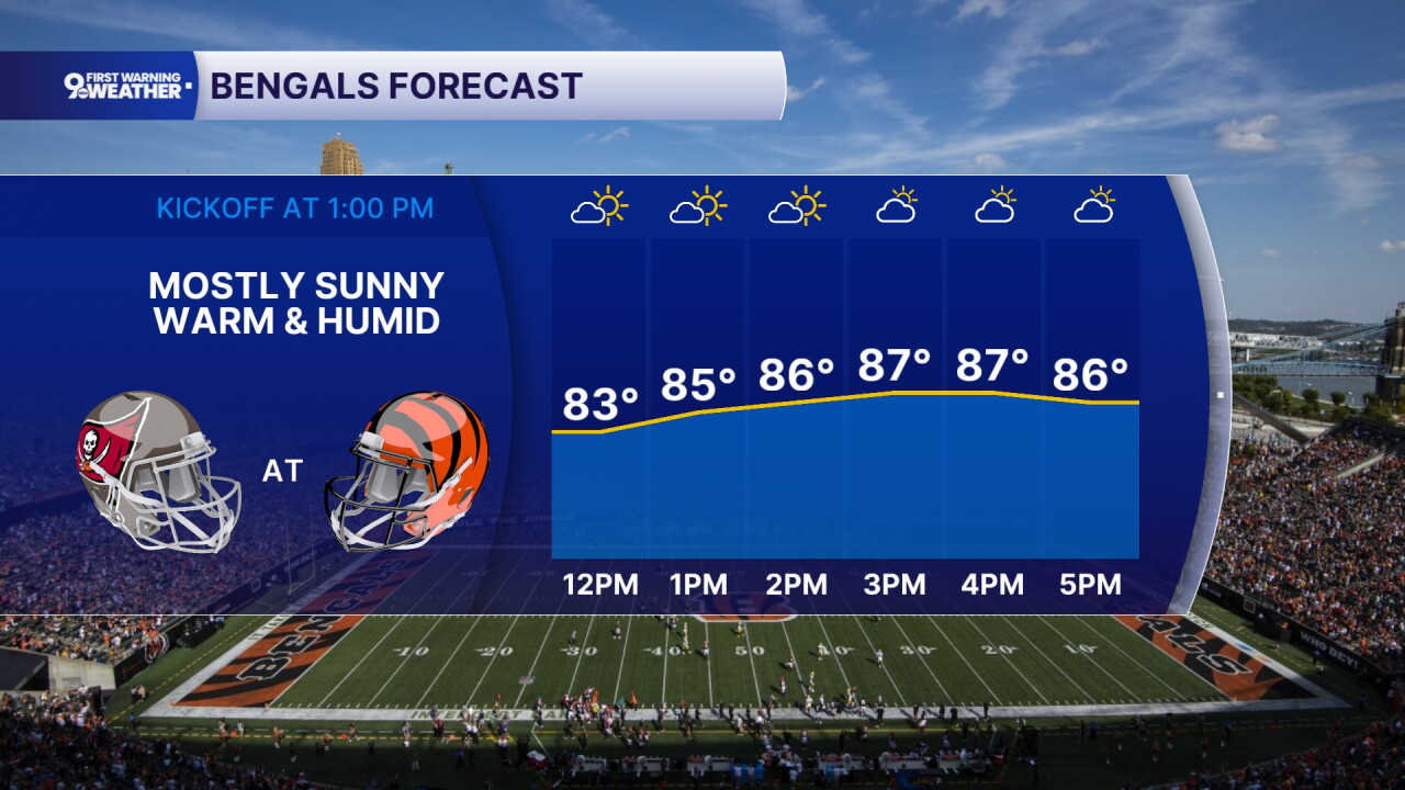 Bengals forecast 