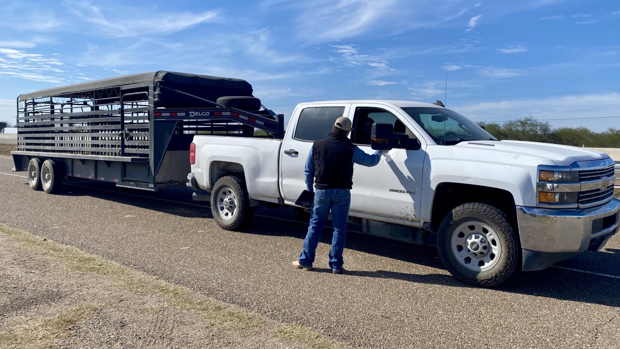 Screwworm inspections