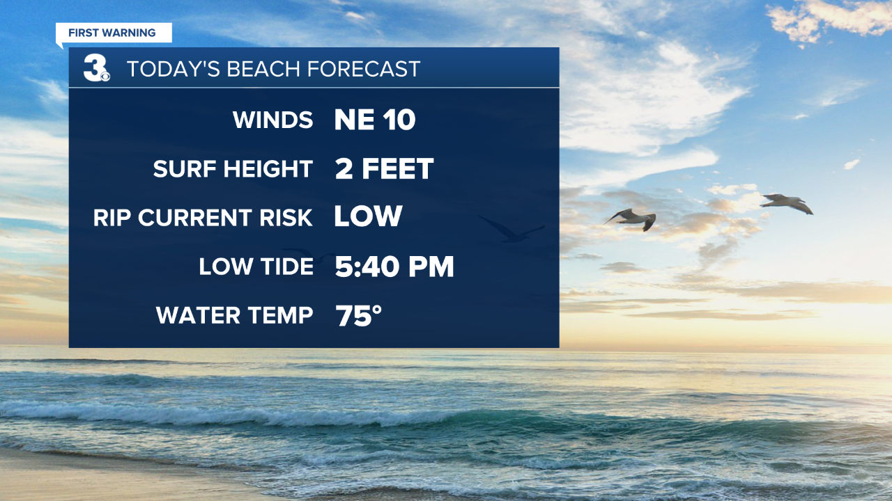 thumbnail_Beach Forecast.png