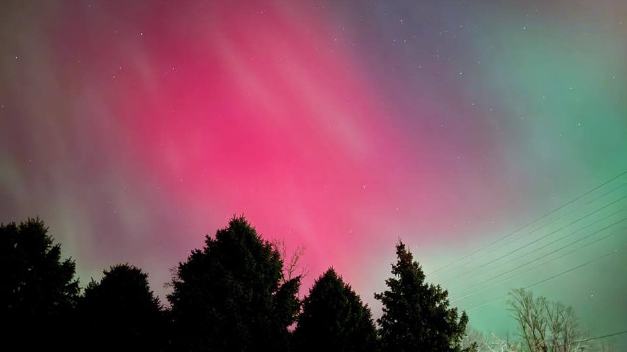 Cindy F - Denison.jpg