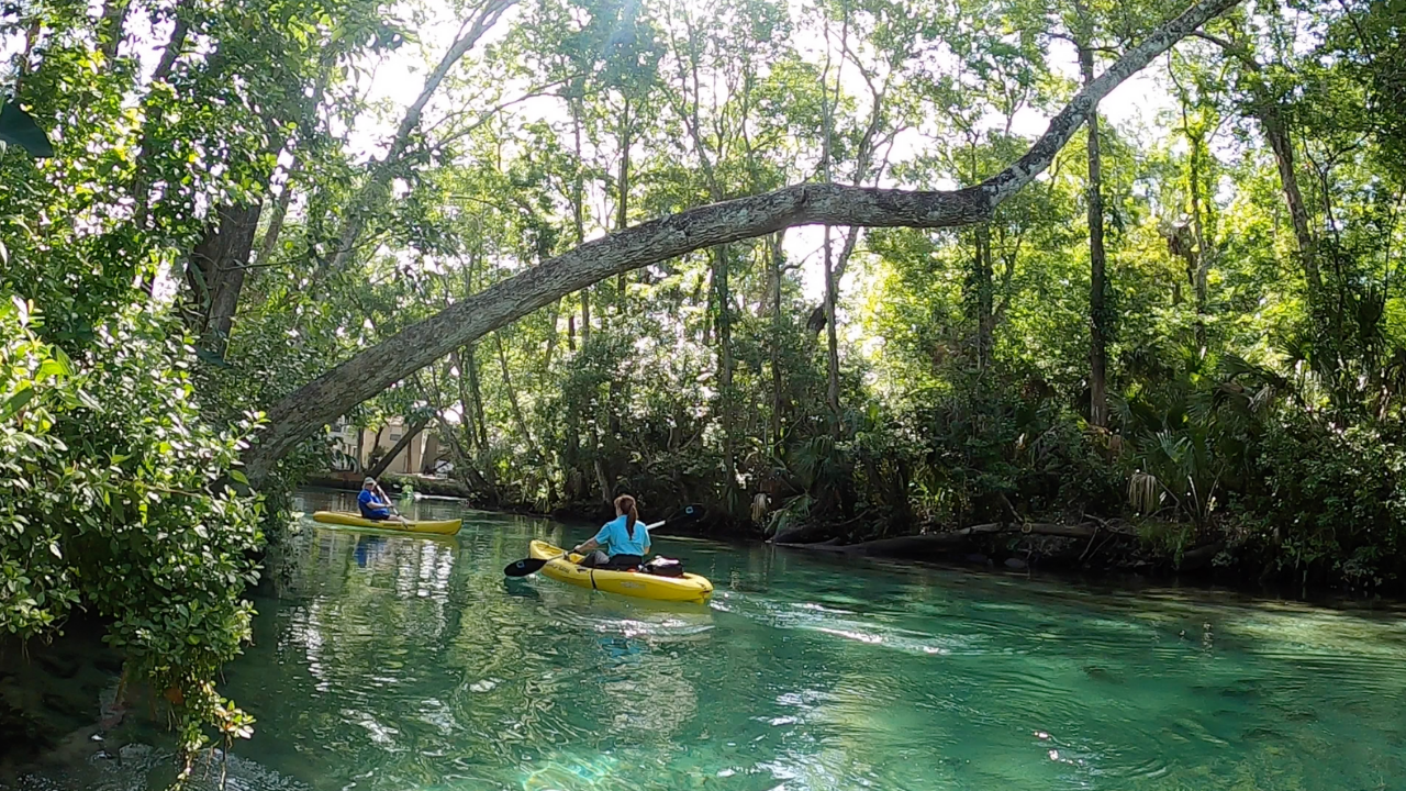 Weeki Wachee Chad Mills WFTS2.png