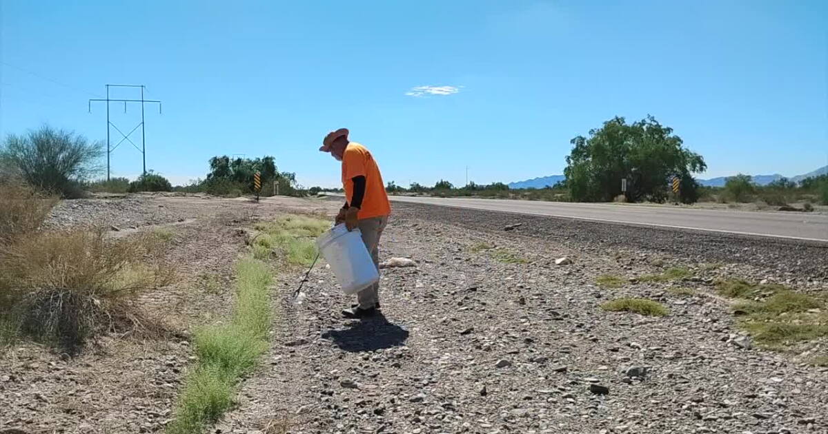 Arizona man trades desert photography for roadside cleanup