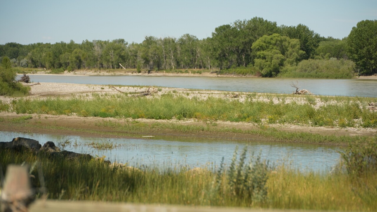PFAS 2_2.1.1.jpg