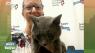 Pet of the Day: Paul Revere