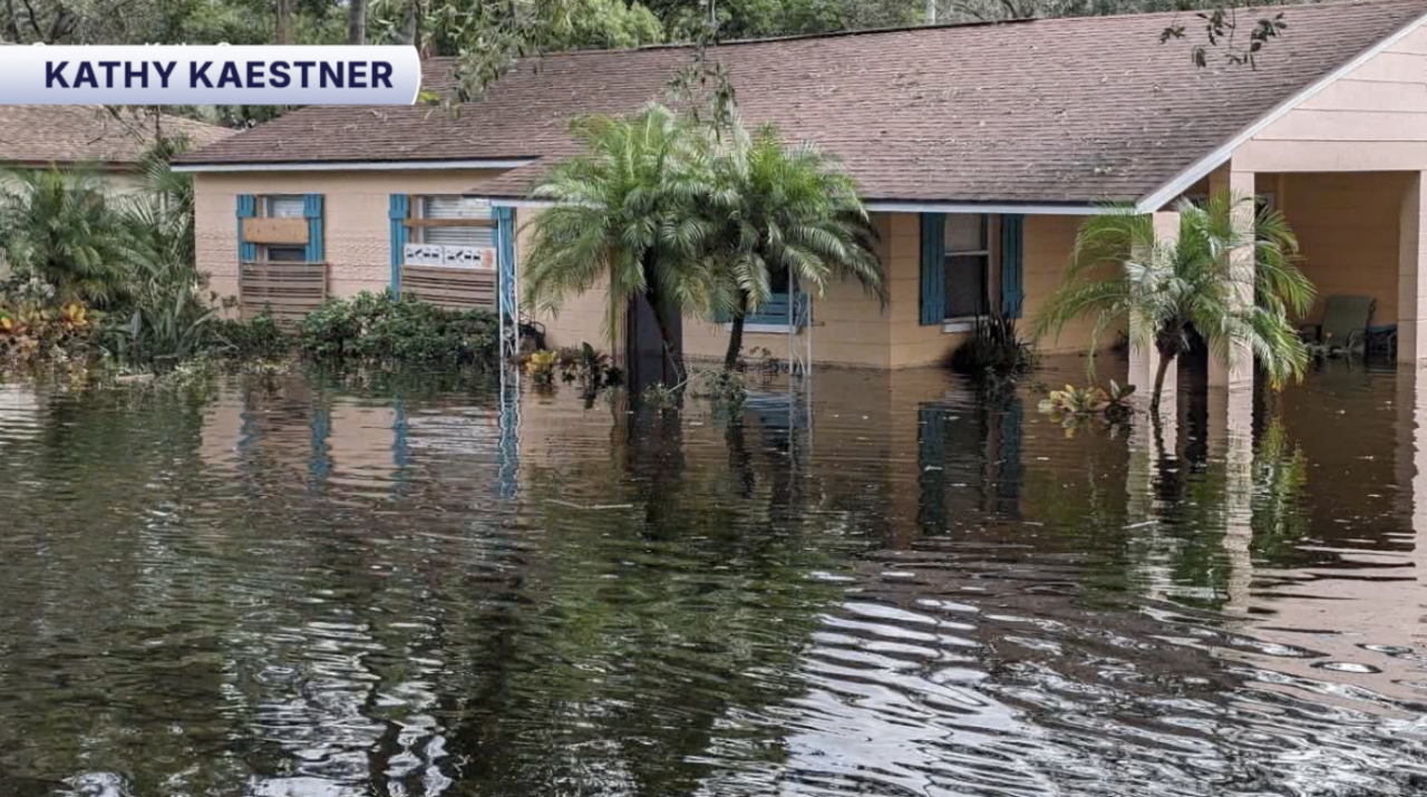 Tampa invests $2.2 million to upgrade Forest Hills wastewater pump station2.png