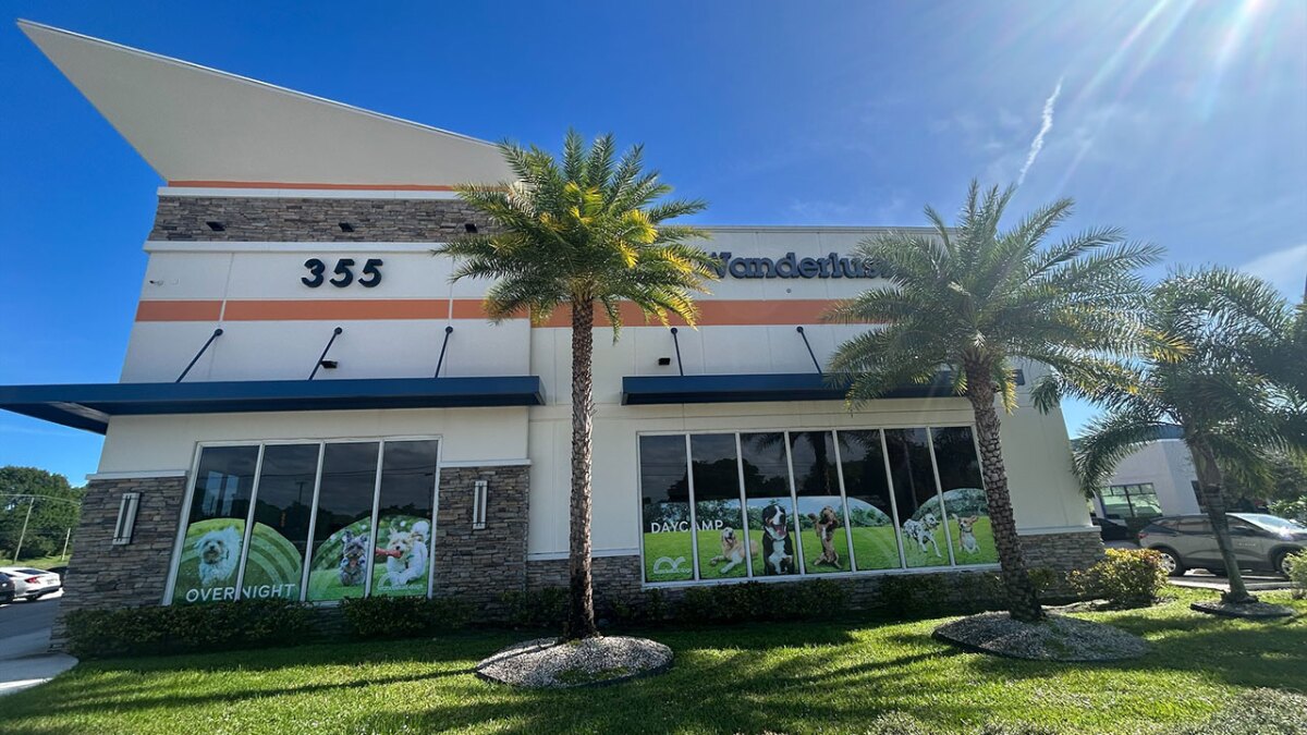 Dog daycare owner arrested following 'significant incident' of animal cruelty, deputies say