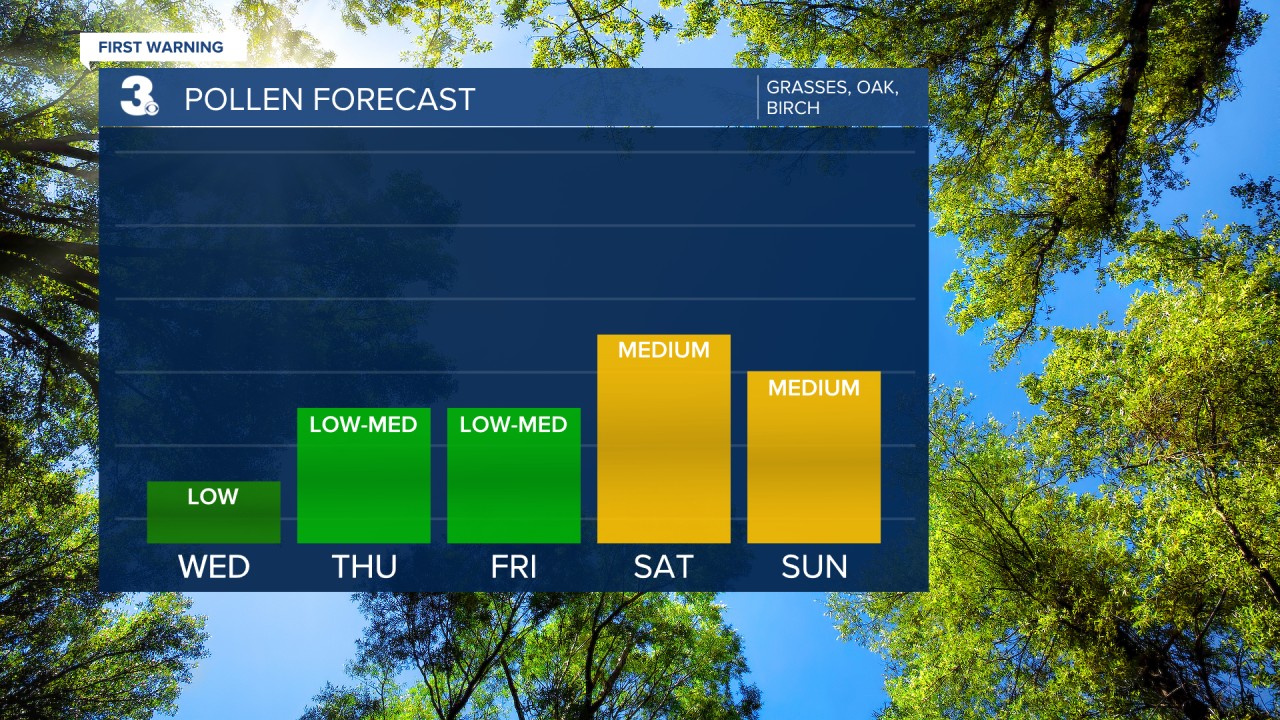 Pollen Bar Graph.png