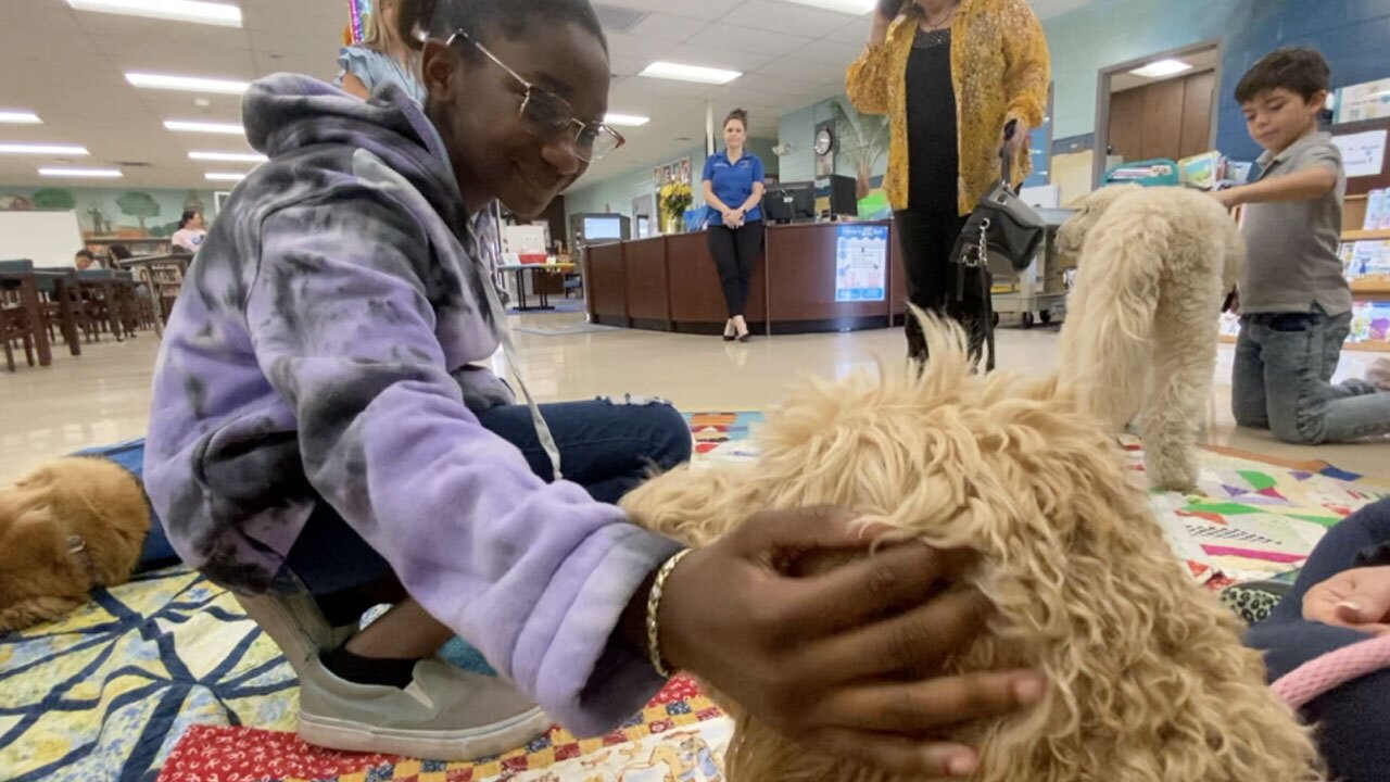 Therapy-dogs-visit-school-to-help-children-in-need-WFTS-WENDI.jpg
