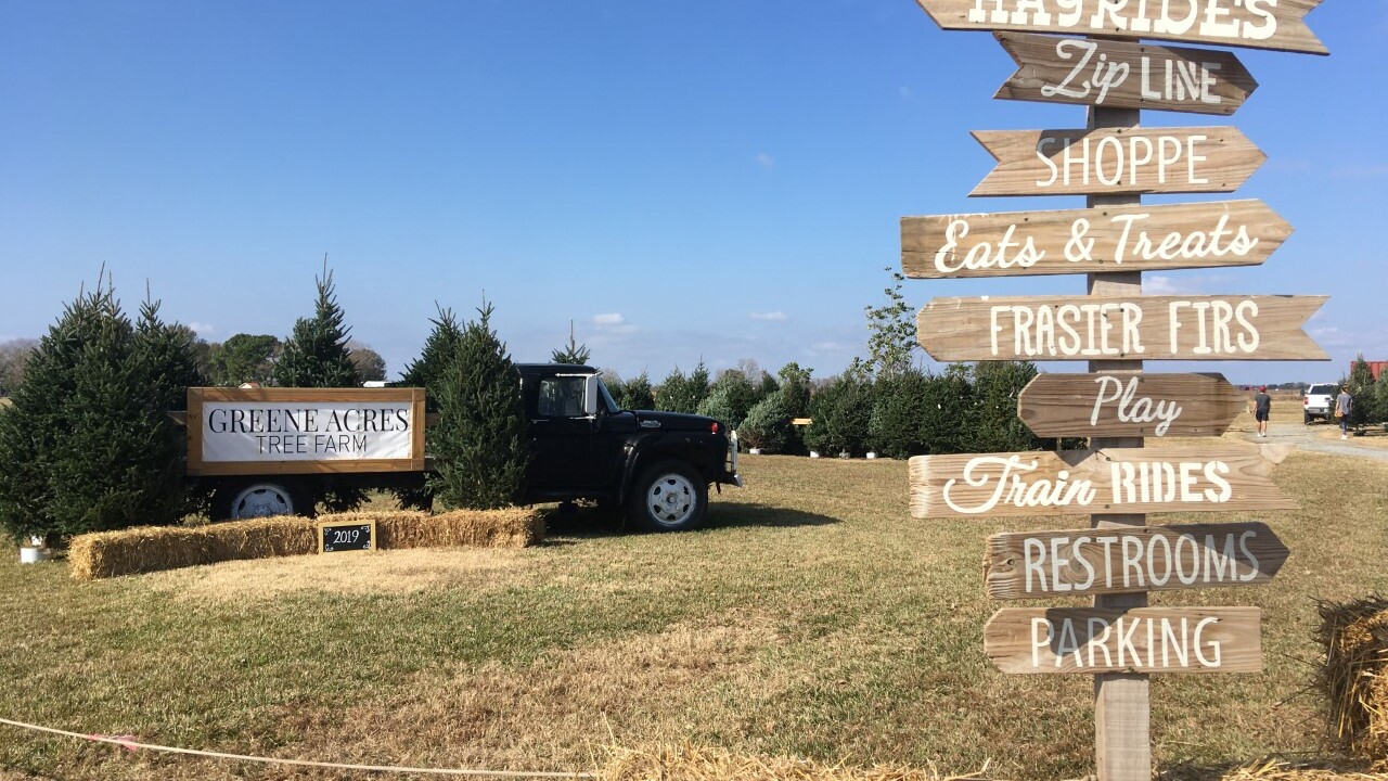 Green Acres Tree Farm open for business