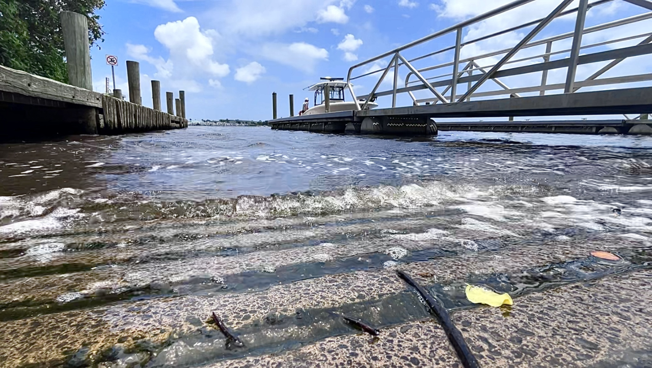 Alligator found after attacking woman in Martin County thumbnail.png