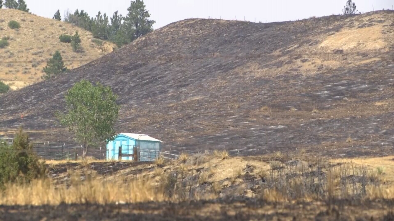 071821 BUFFALO FIRE WIDE.jpg