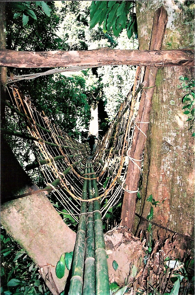 39 Hanging Bridge.jpg