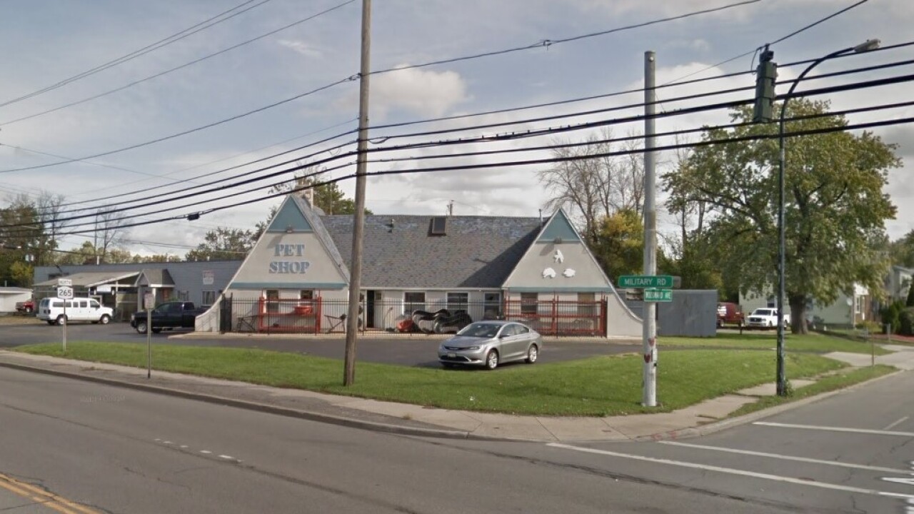 niagara aquarium pet store set to close