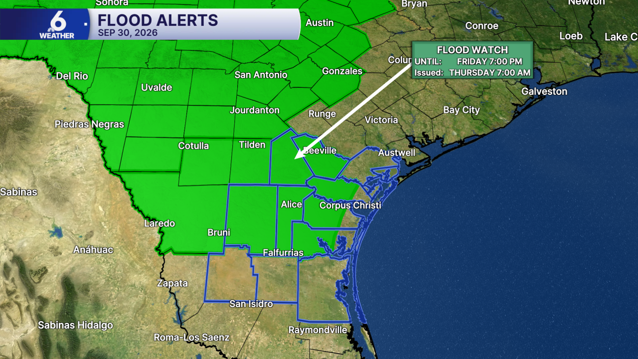 AUTO Flood Alerts.png