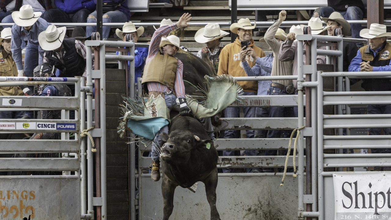 James Ward Rodeo Rider Jackson Ward's 89 wins Red Lodge Home of Champions Rodeo Xtreme Bulls event