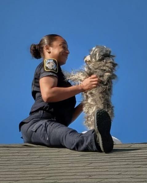 Baltimore County Police Officer Rescues Stranded Dog from Rooftop