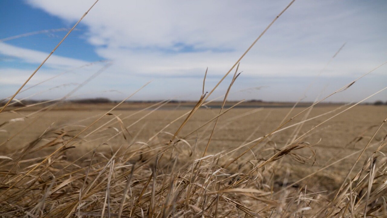 windy conditions.jpg