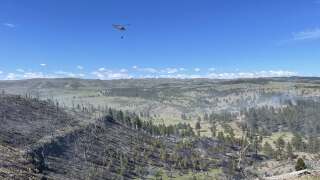 sweet grass fire.jpg