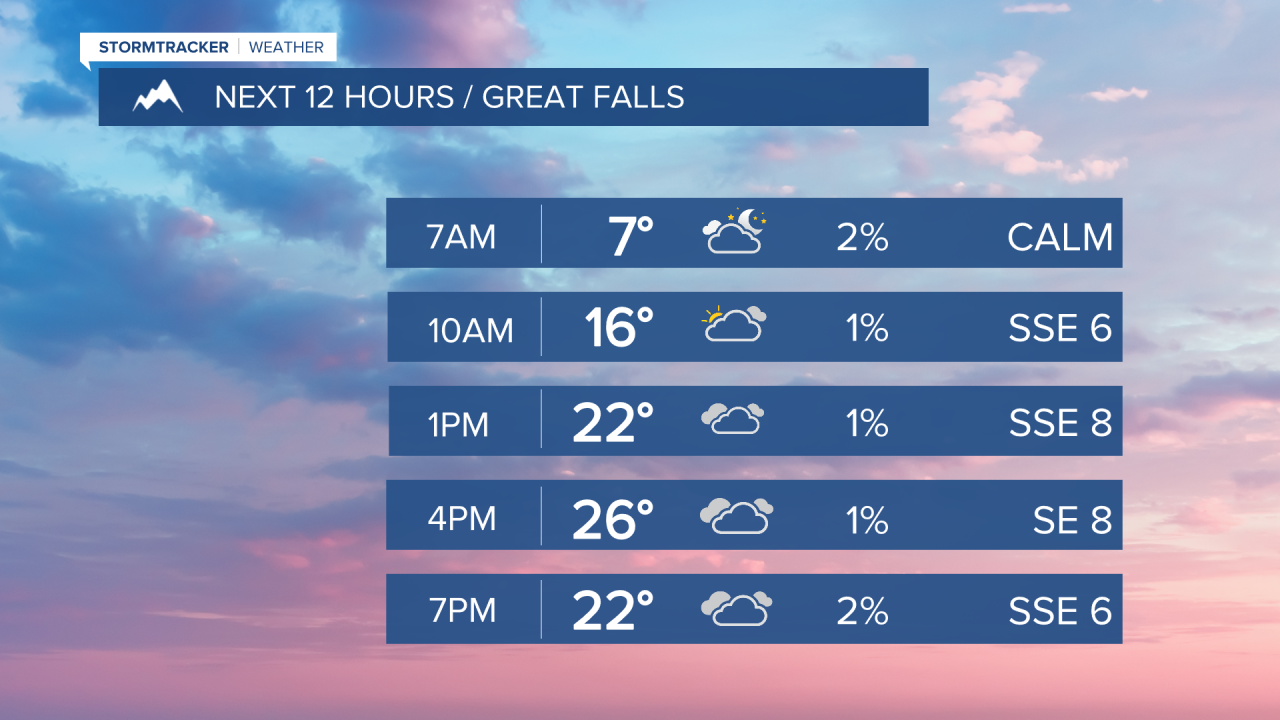 Great Falls Day Planner