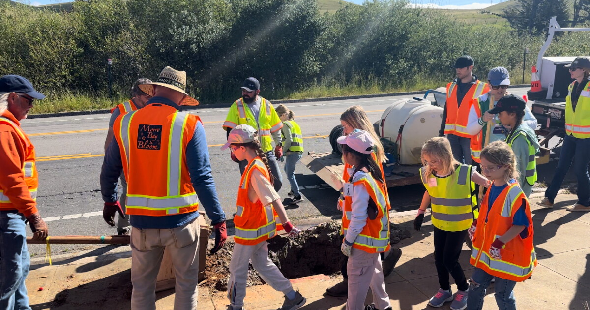 "I Love Morro Bay": how community comes together to help beautify the city - Vimarsana News